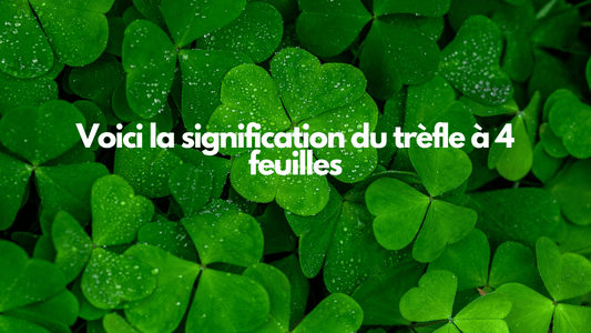 Voici la signification du trèfle a 4 feuilles