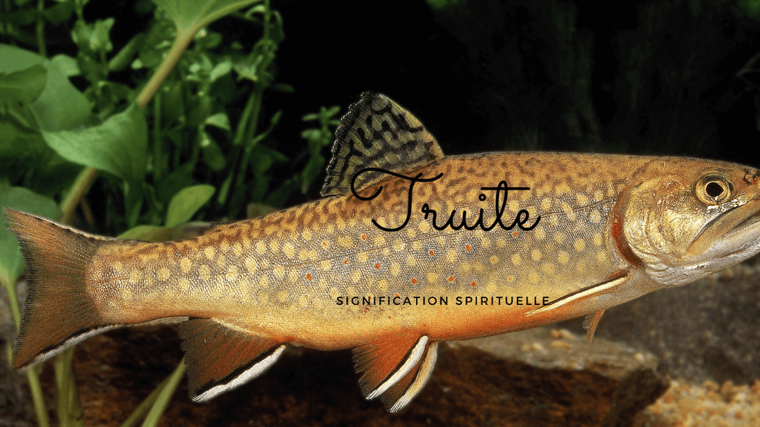 Truite signification spirituelle