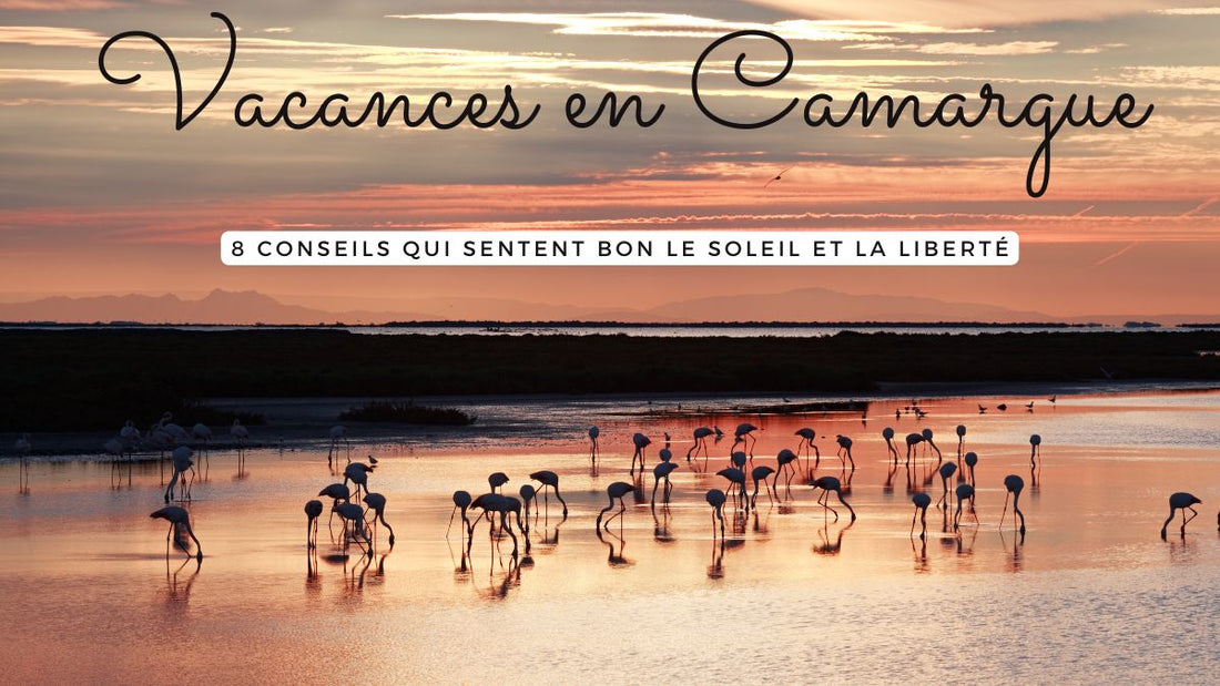 Flamants roses dans les marais de Camargue au coucher du soleil, image poétique d’un voyage en liberté