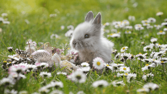 Voir un lapin signification spirituelle