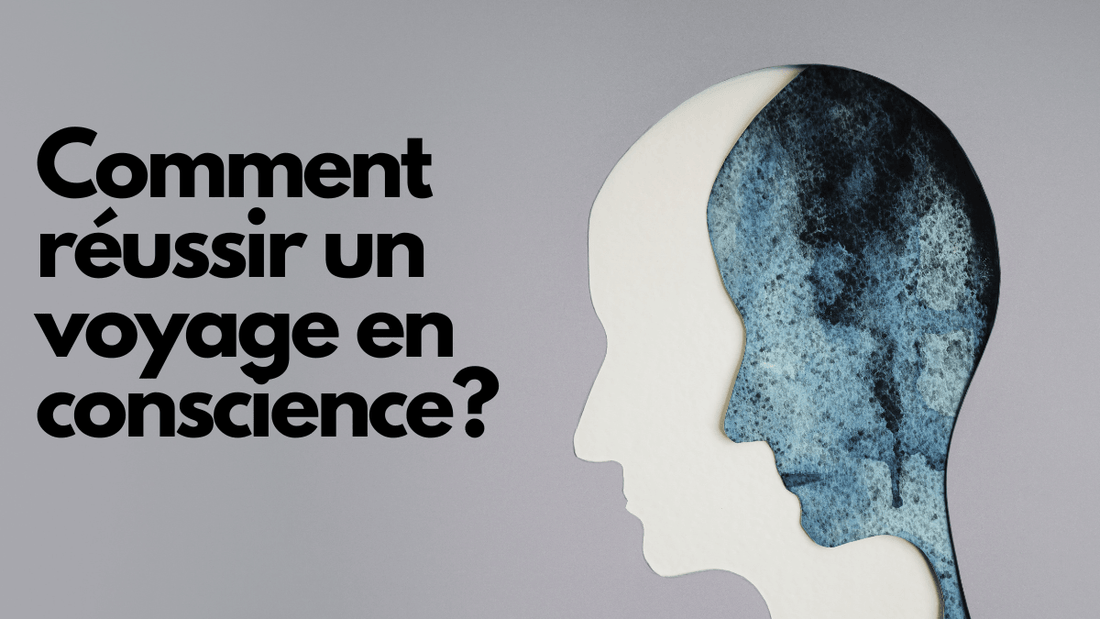 Comment réussir un voyage en conscience?